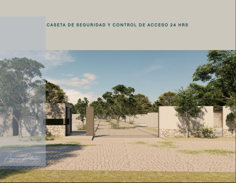 10 de 14