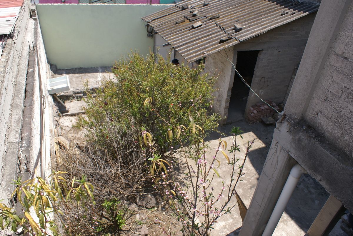 Jardín, foto 6 de 21