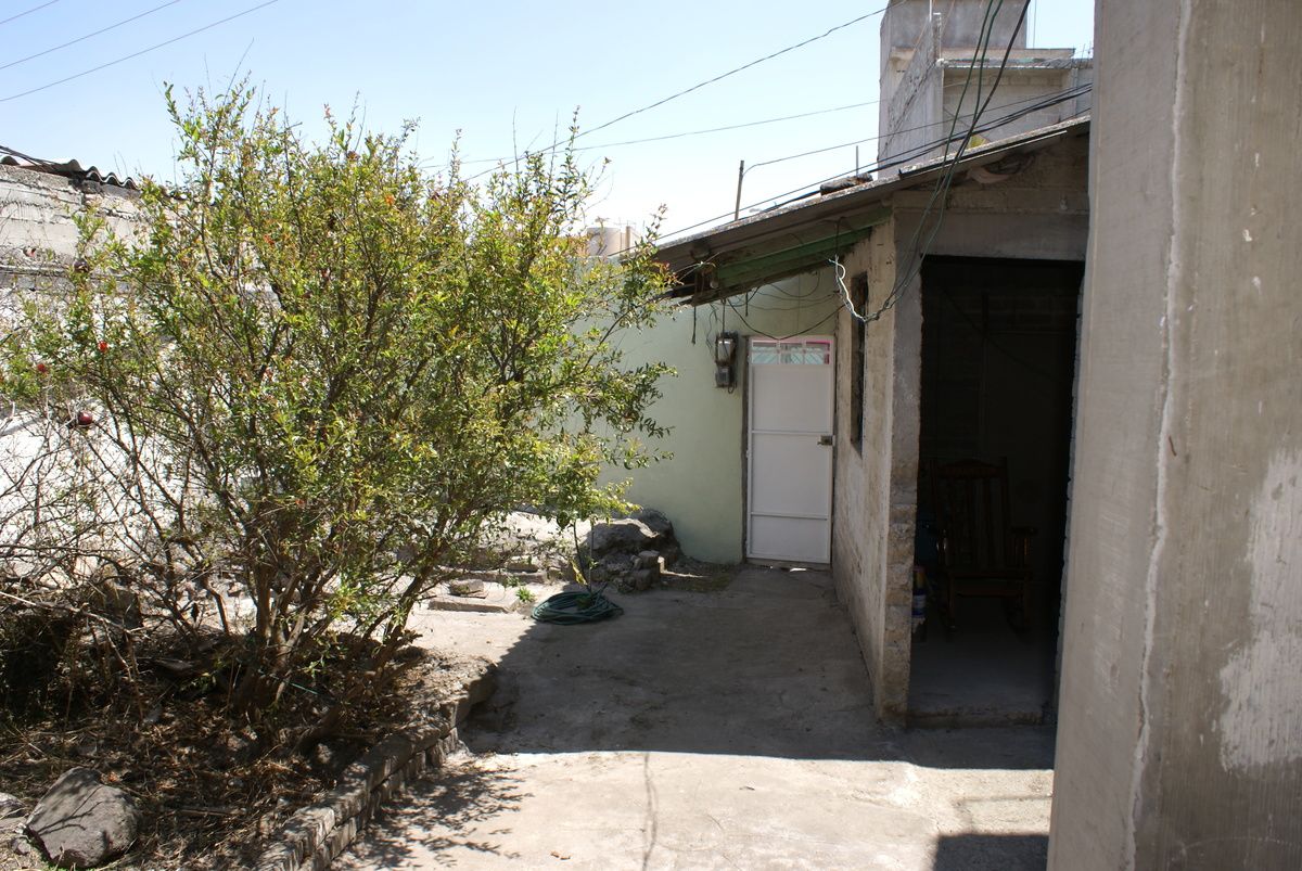 Jardín, foto 15 de 21
