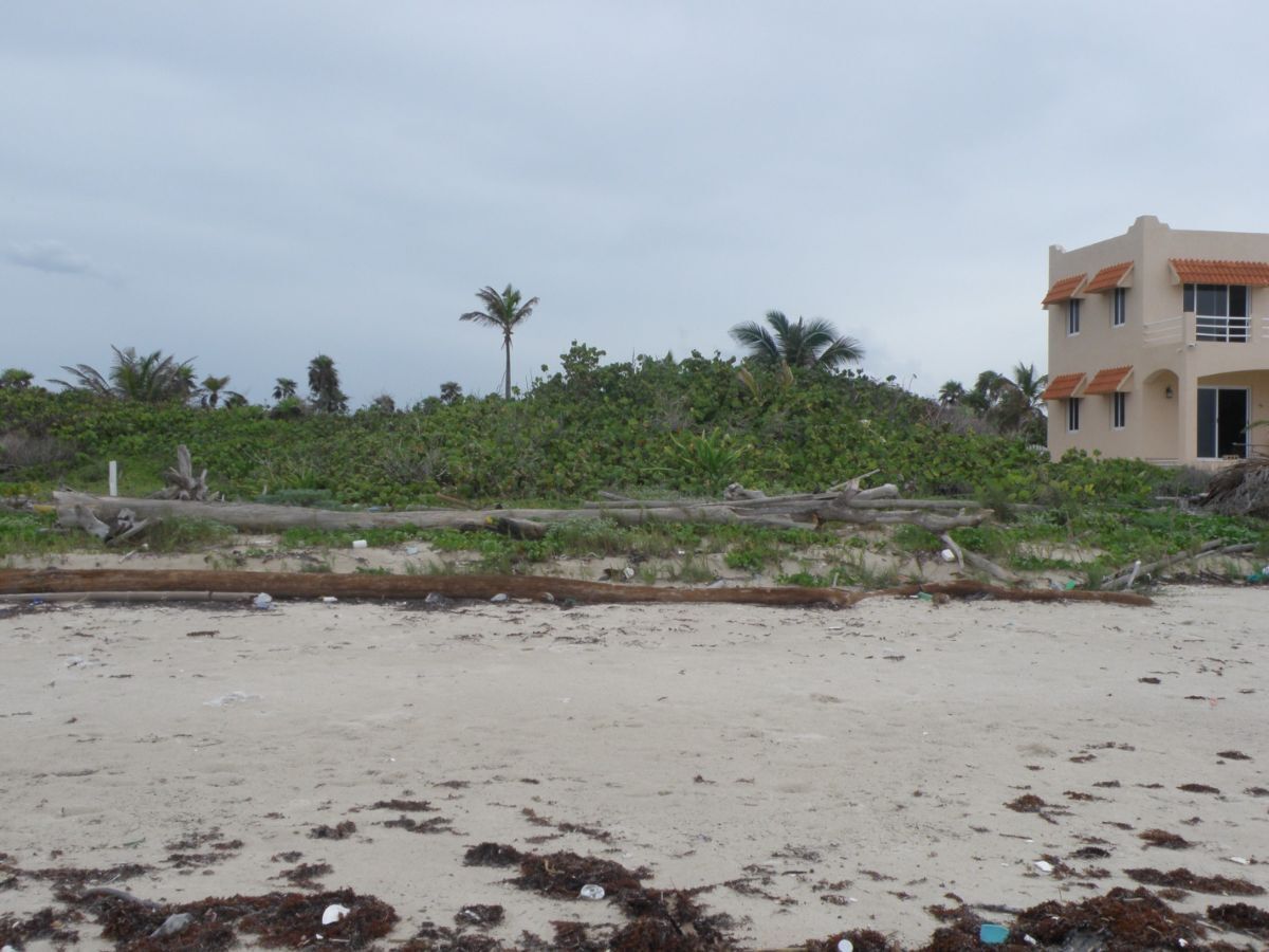 5 de 6: TERRENO FRENTE AL MAR