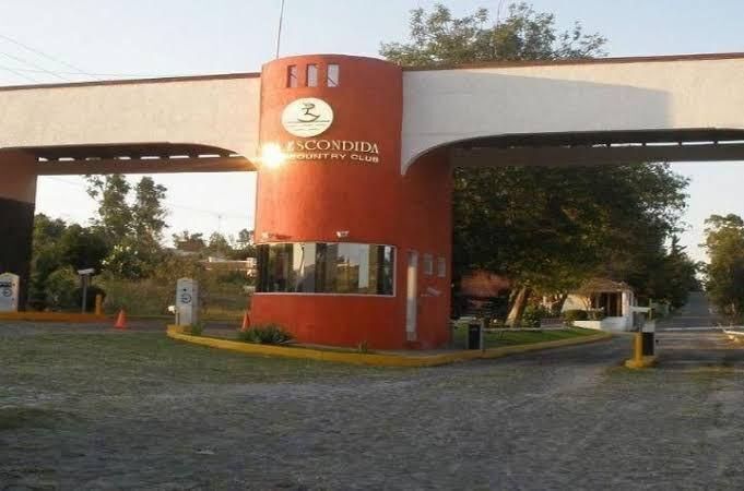 5 de 19