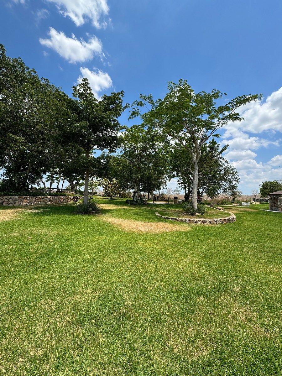 34 de 36