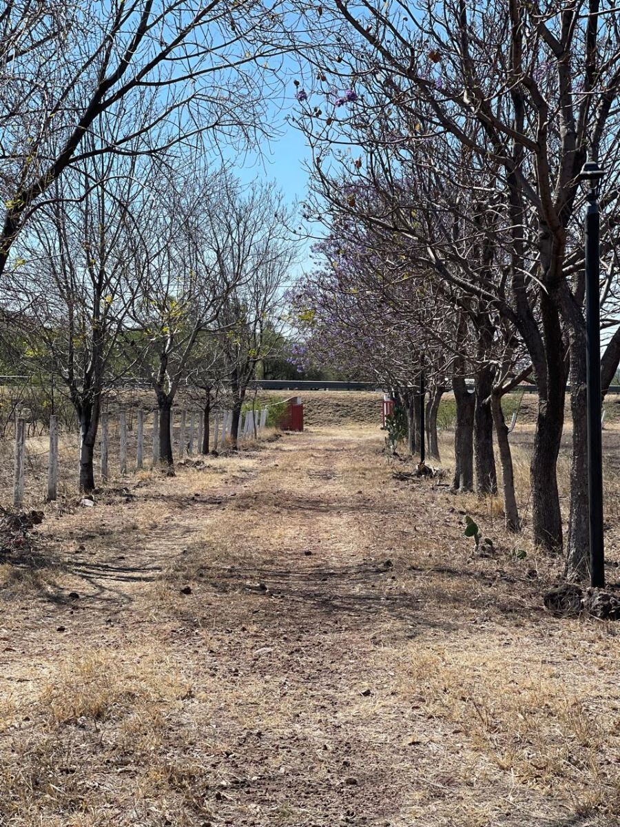 Excelente Terreno Industrial en Venta a pie de carretera Irapuato-abasolo.