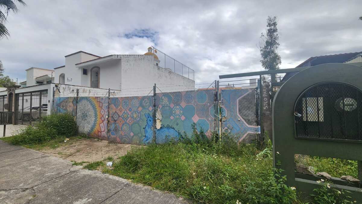 4 de 4