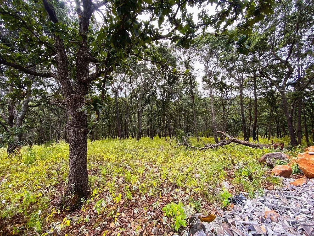 Lote em Atemajac de Brizuela, Atemajac de Brizuela, foto 5 de 11
