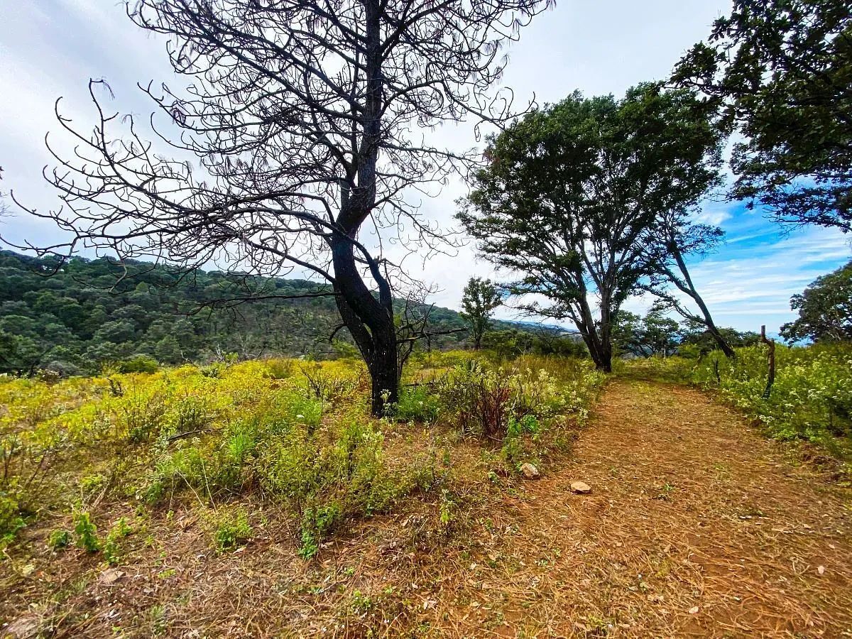 Lote em Atemajac de Brizuela, Atemajac de Brizuela, foto 7 de 11