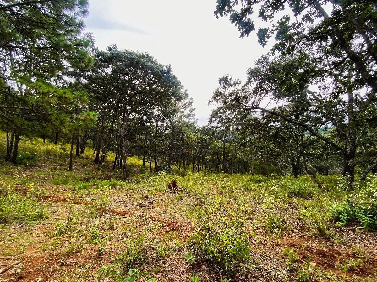 Lote em Atemajac de Brizuela, Atemajac de Brizuela, foto 8 de 11