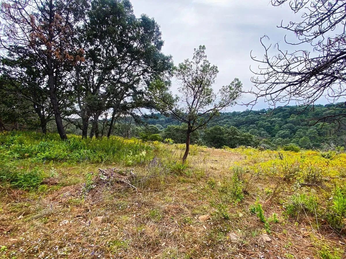 Lote em Atemajac de Brizuela, Atemajac de Brizuela, foto 9 de 11