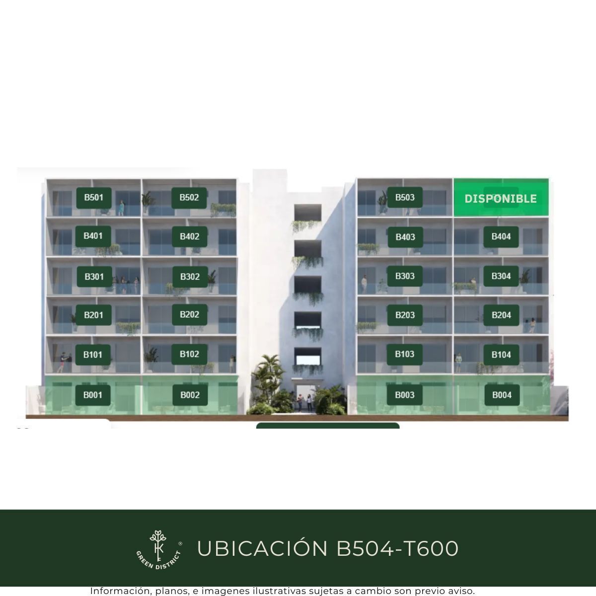 2 de 11