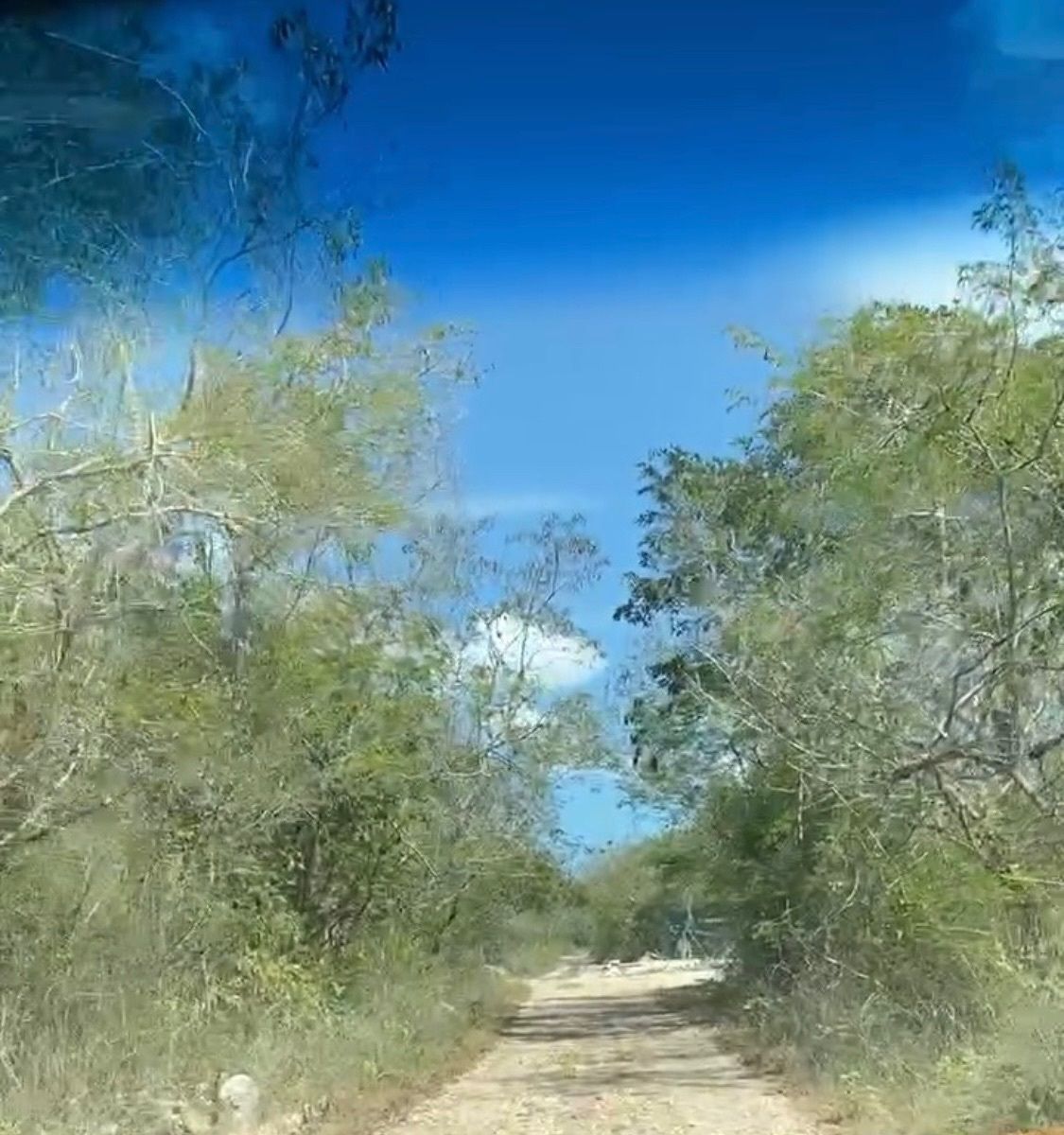 1 de 4