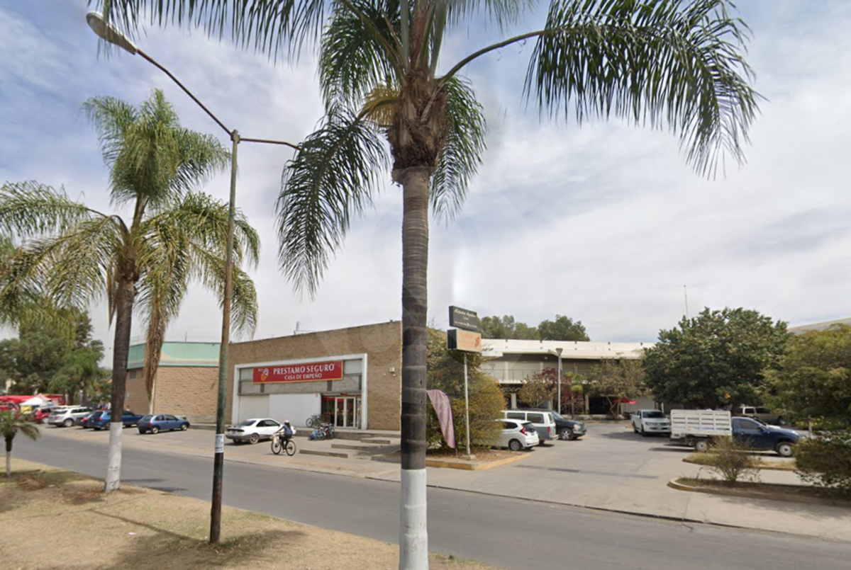 5 de 12