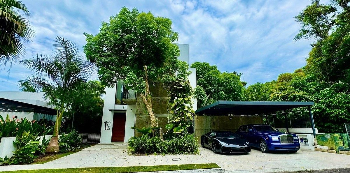 INCREDIBLE HOUSE OF FLOWERS, photo 1 of 50
