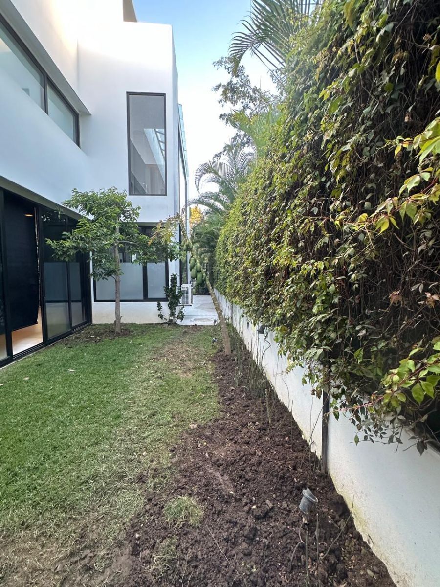 4 of 49: Jardin lateral