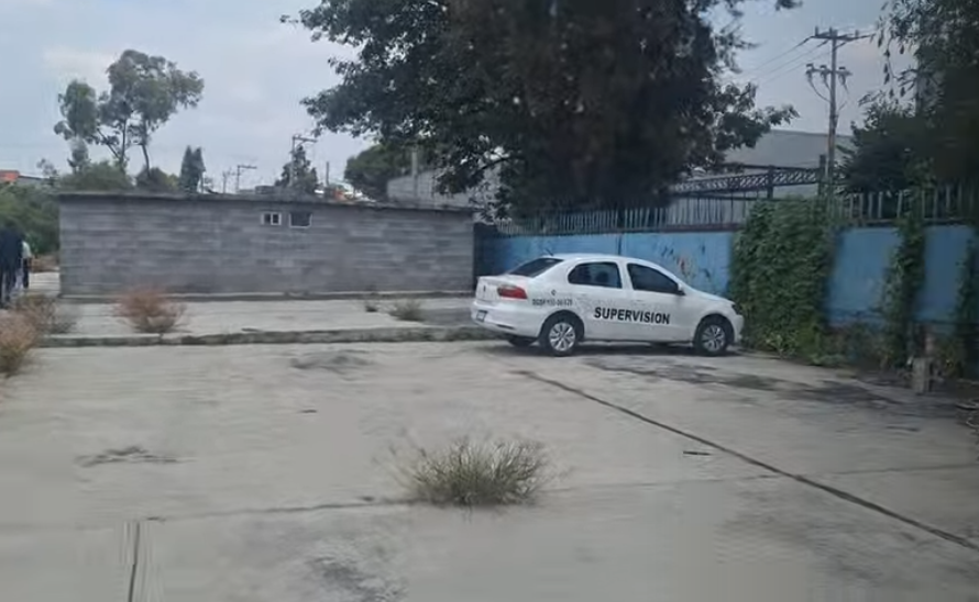 4 de 6