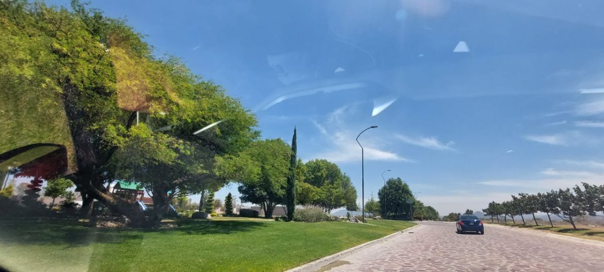 1 de 7