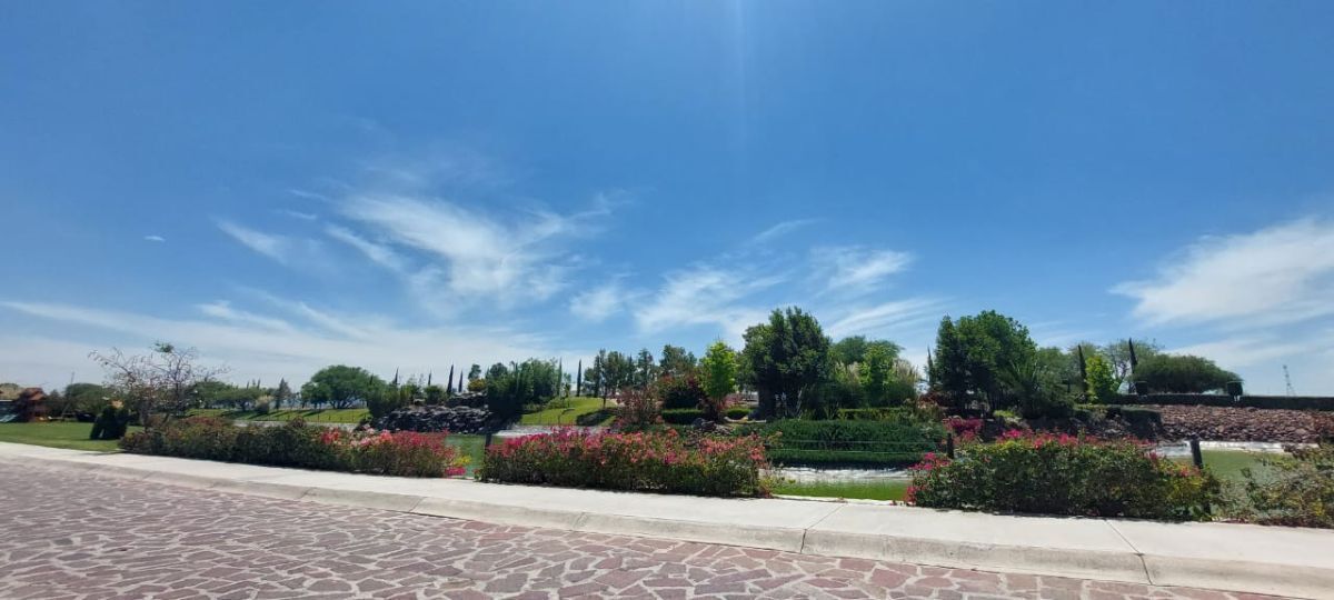 3 de 7