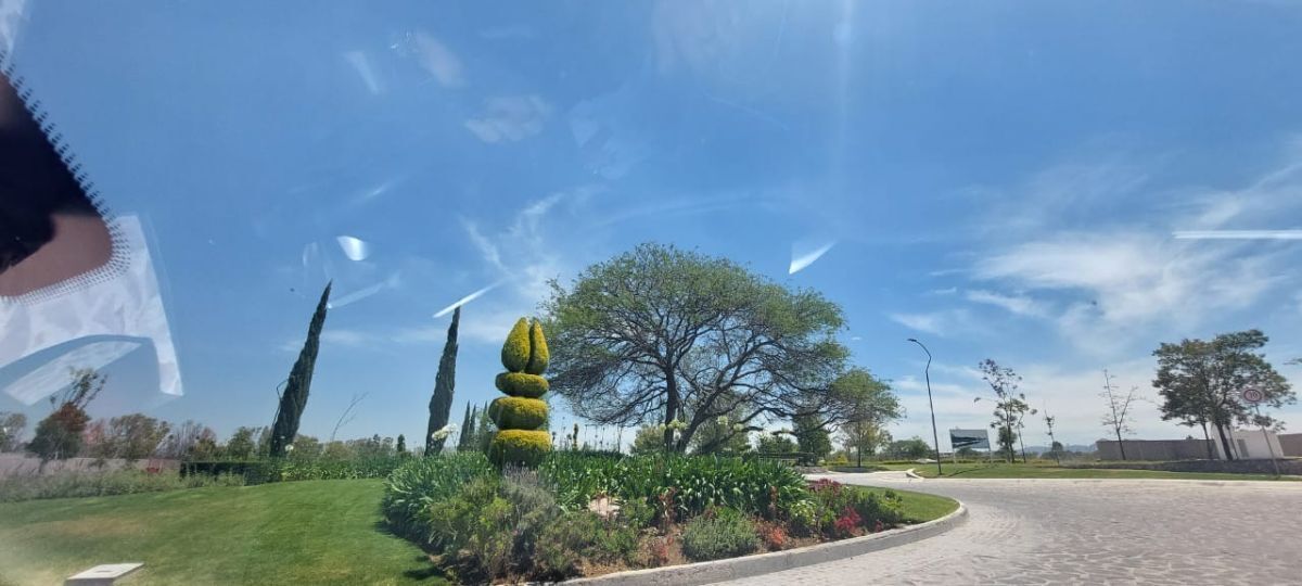 3 de 7