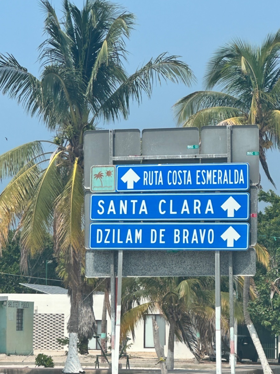 2 de 24