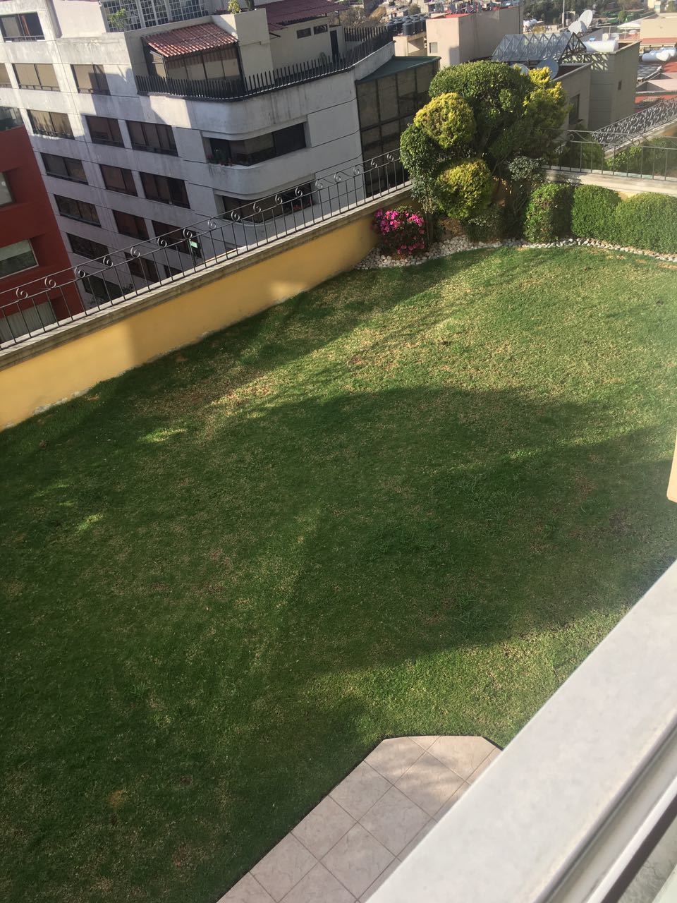 4 de 11
