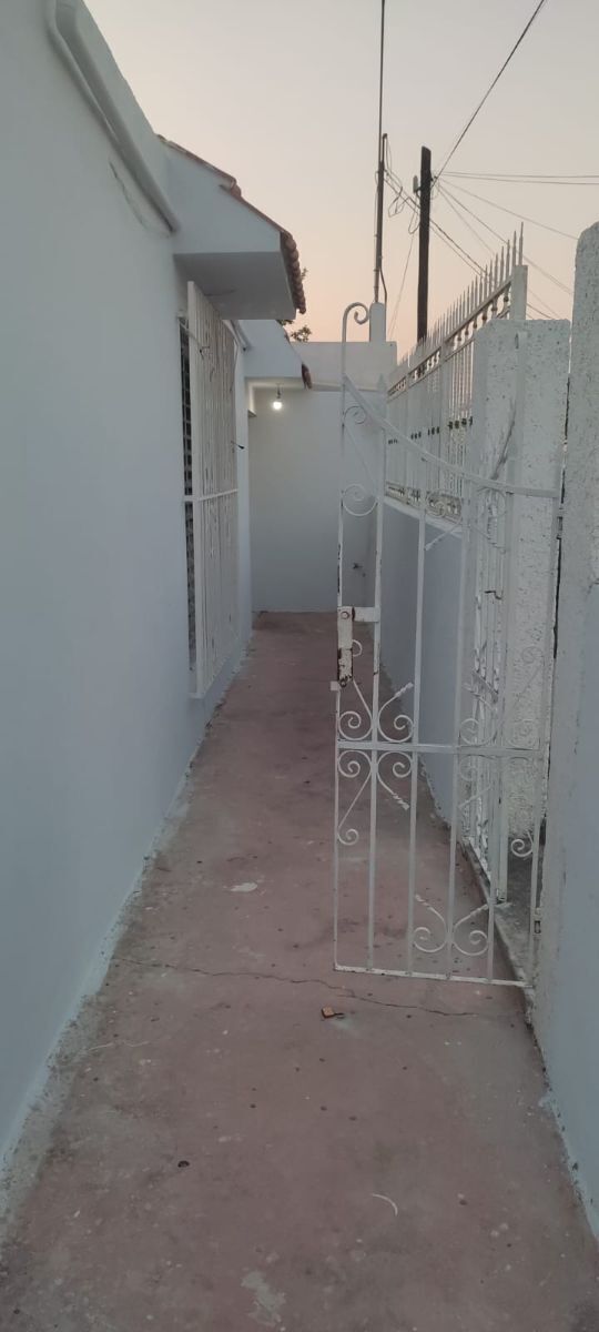 4 de 12