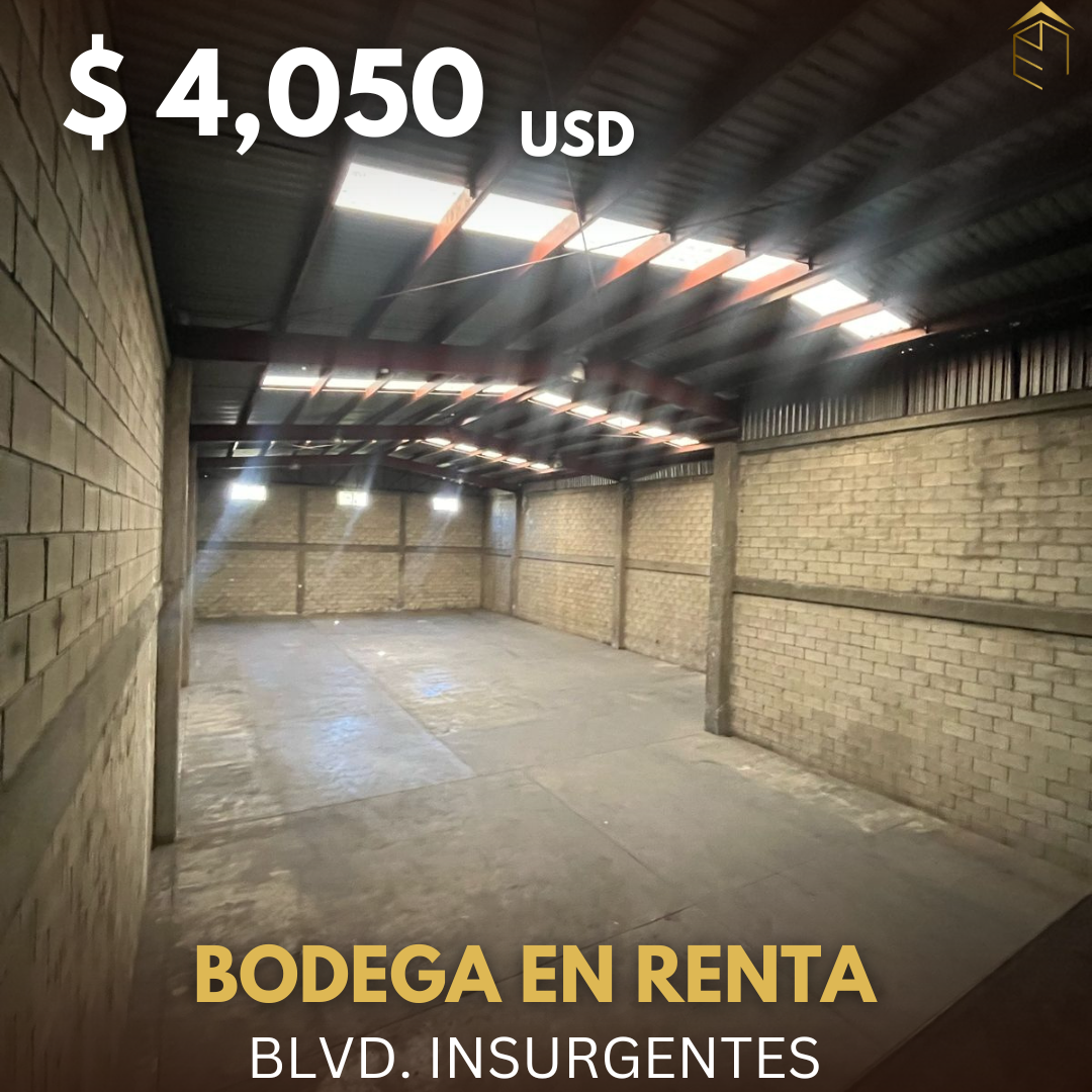 1 de 6