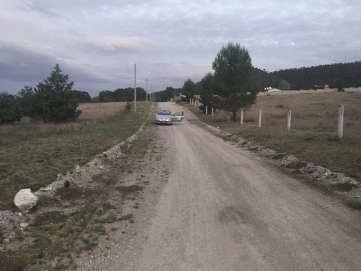 3 de 6