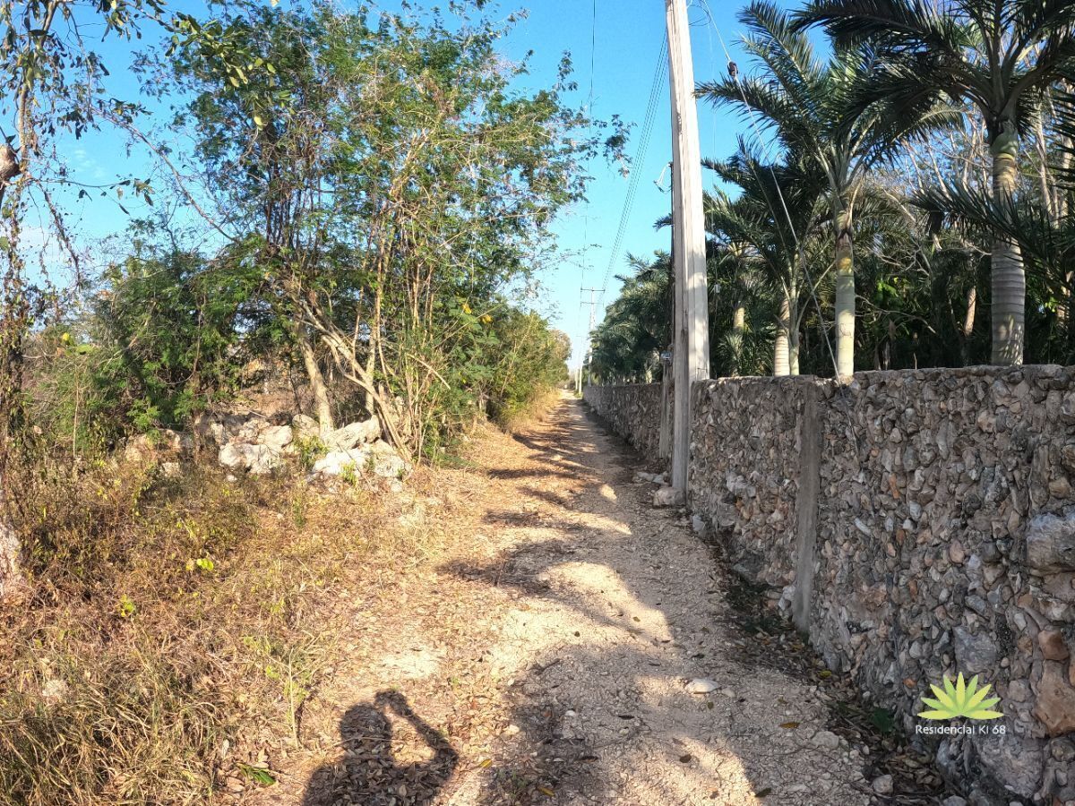 4 de 5