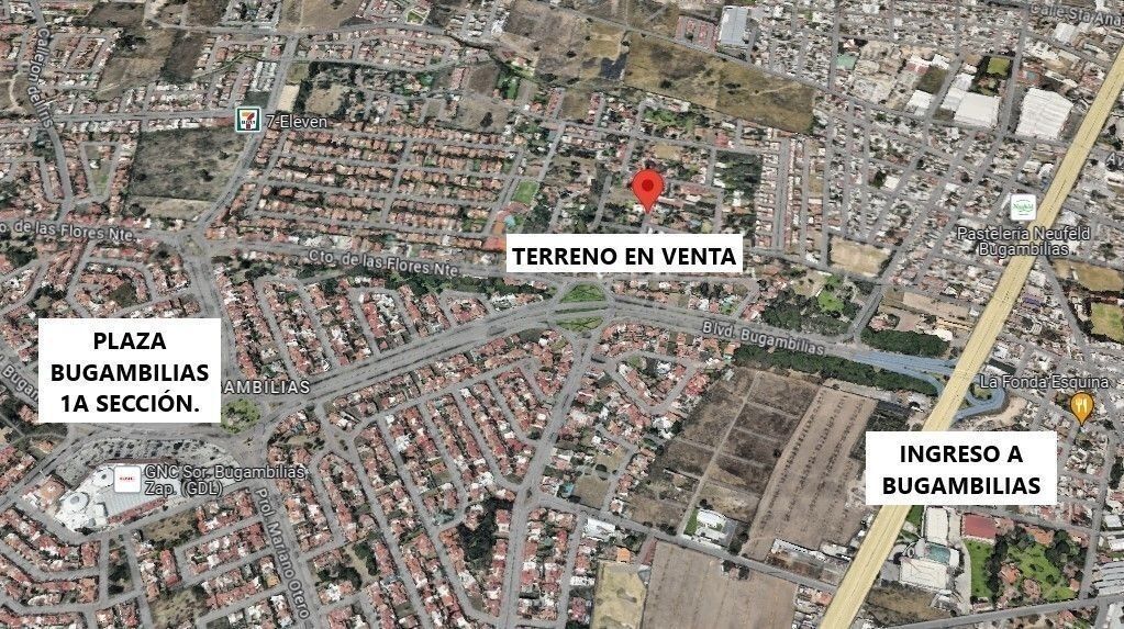Imagen 4 de 8