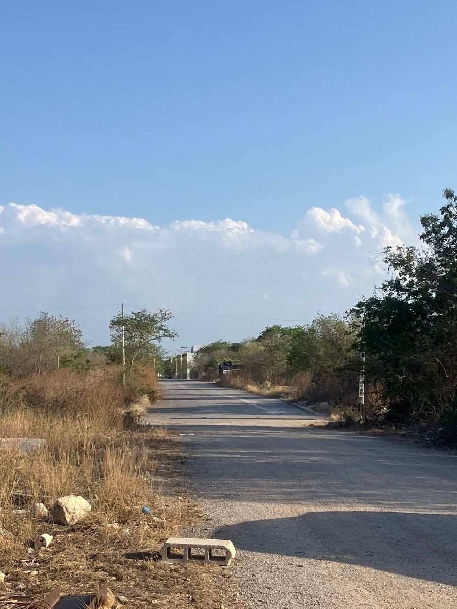 Terreno en venta en Temozón Norte - foto 1