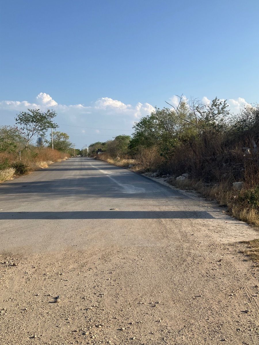 Terreno en venta en Temozón Norte - foto 3