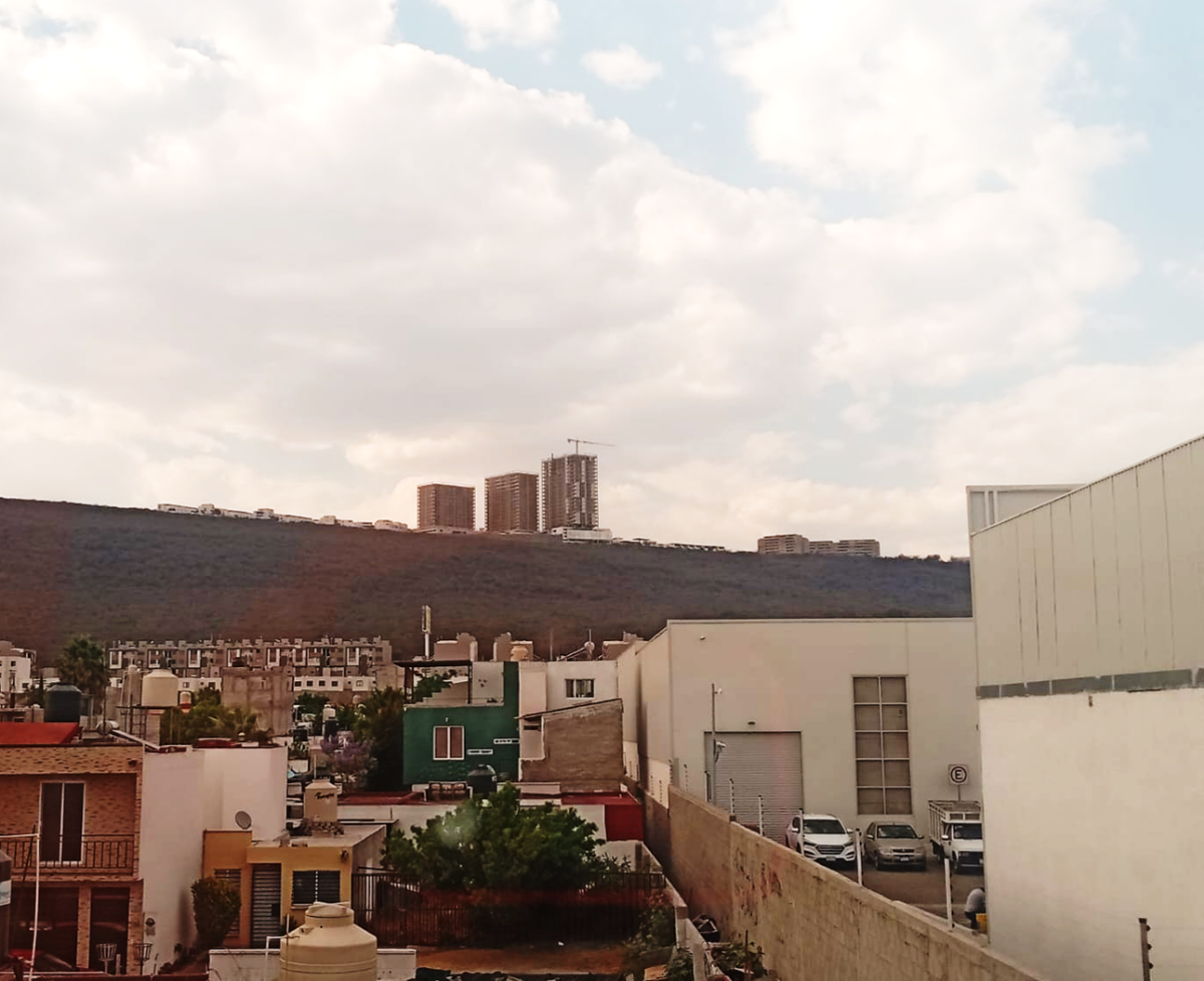 4 de 17