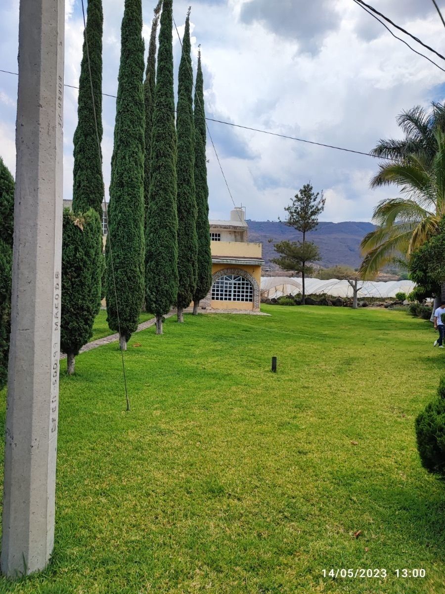 Imagen 3 de 6