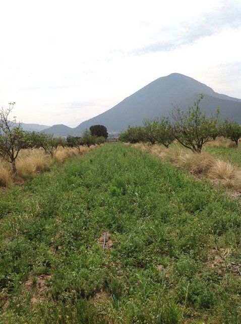 Excelente Oportunidad! Parcela Ejidal en Venta de 62,672 m2