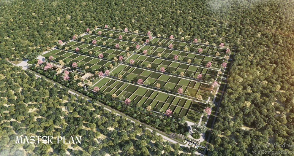 masterplan