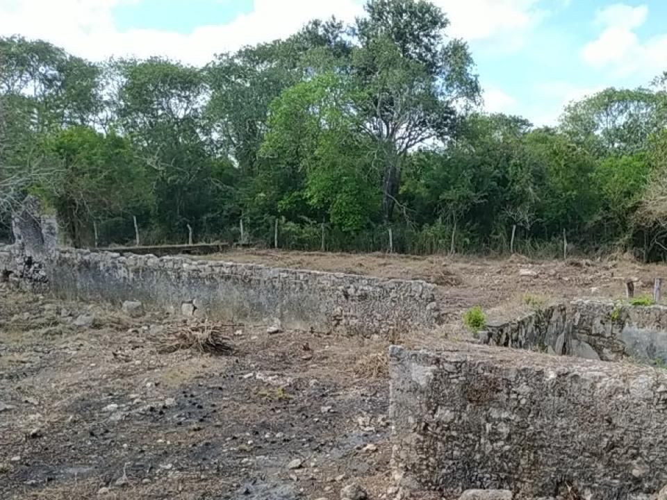 5 de 29