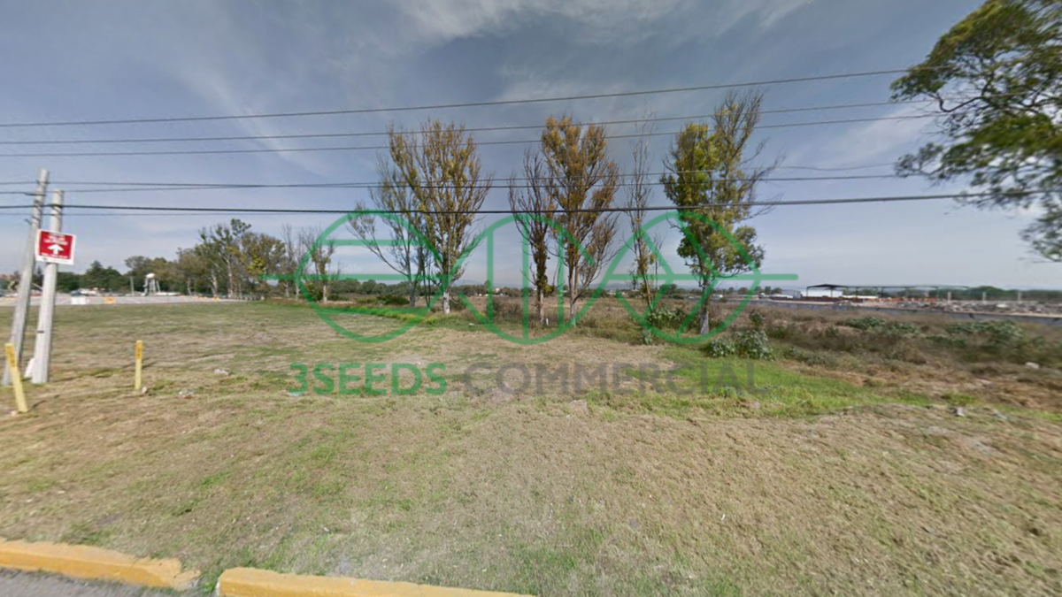 Imagen 3 de 4