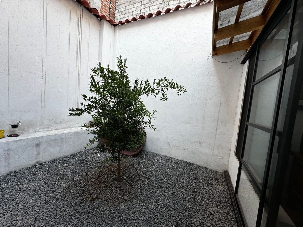 7 de 19