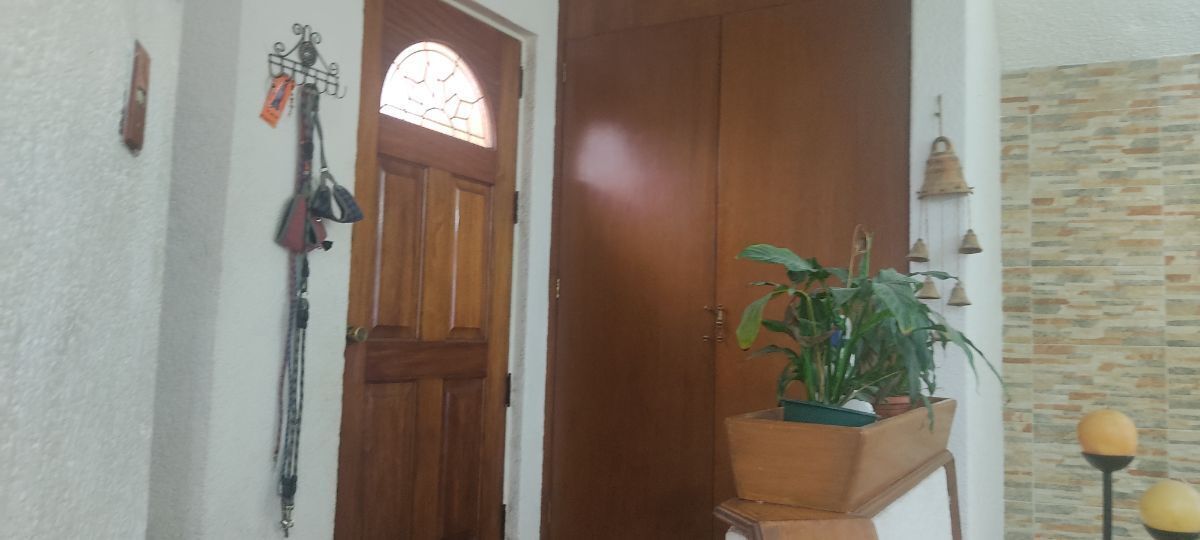 5 de 49