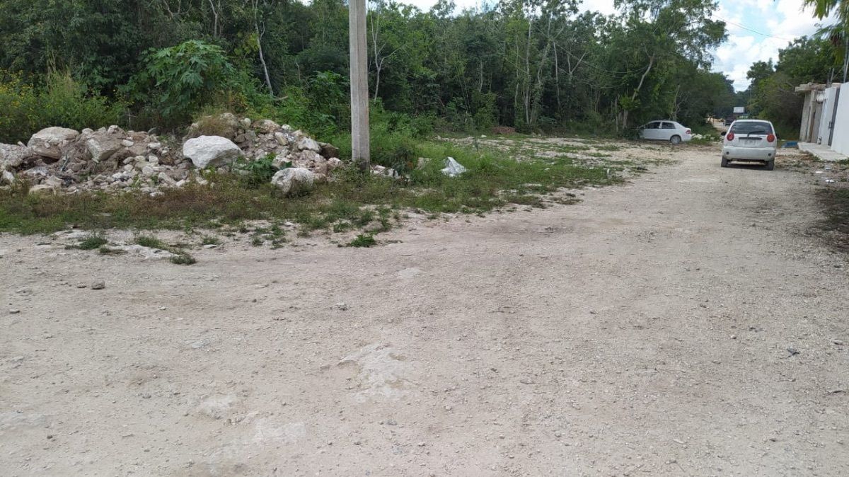 Imagen 3 de 5