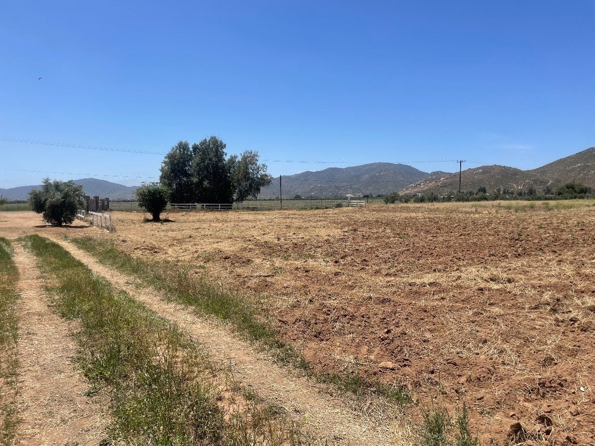 Venta de Terreno de 7,500 M2 en el Valle de Guadalupe