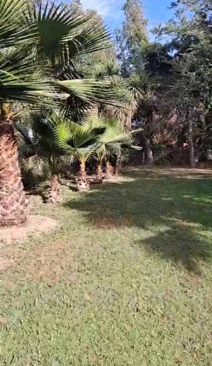 1 de 4