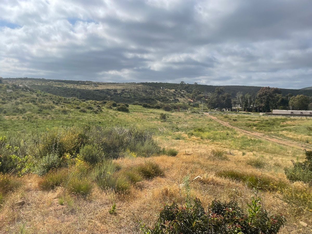 Se Vende Terreno de 2,500 M2 Hasta 2 Ha a un Lado de las Delicias en el Valle