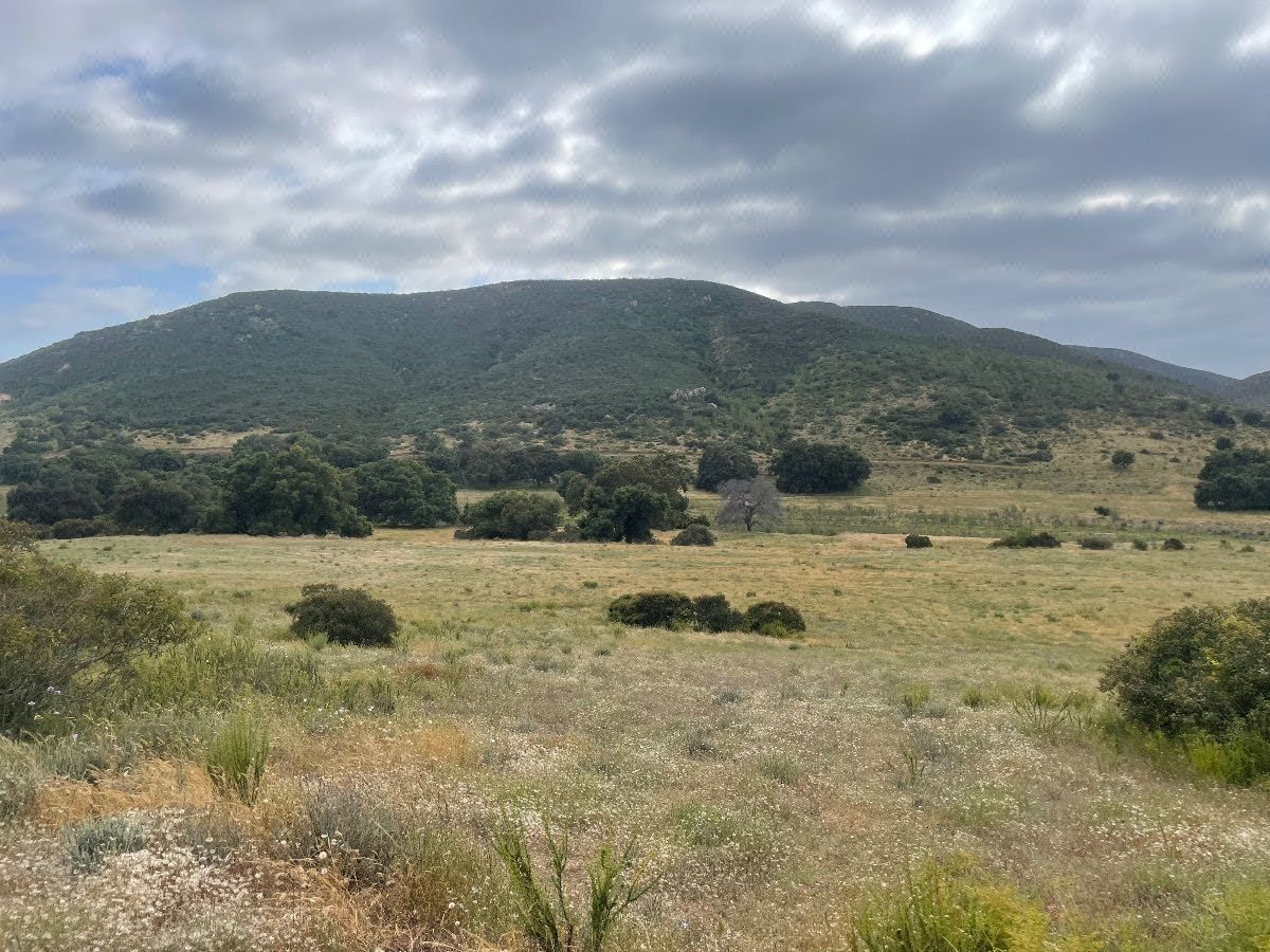 Venta Terreno Desde 2,500 M2 Hasta 5 Ha en el Porvenir, Valle de Guadalupe