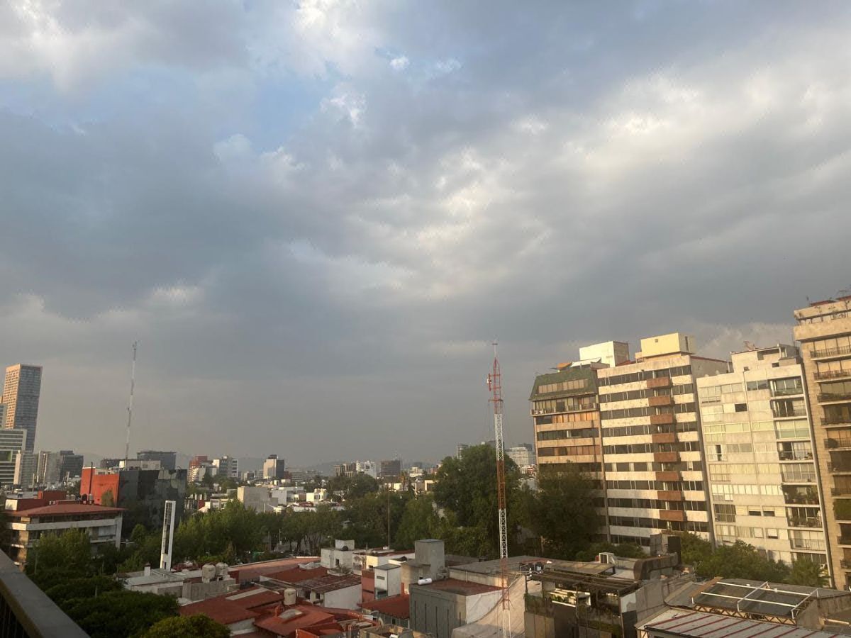 Seneca Polanco