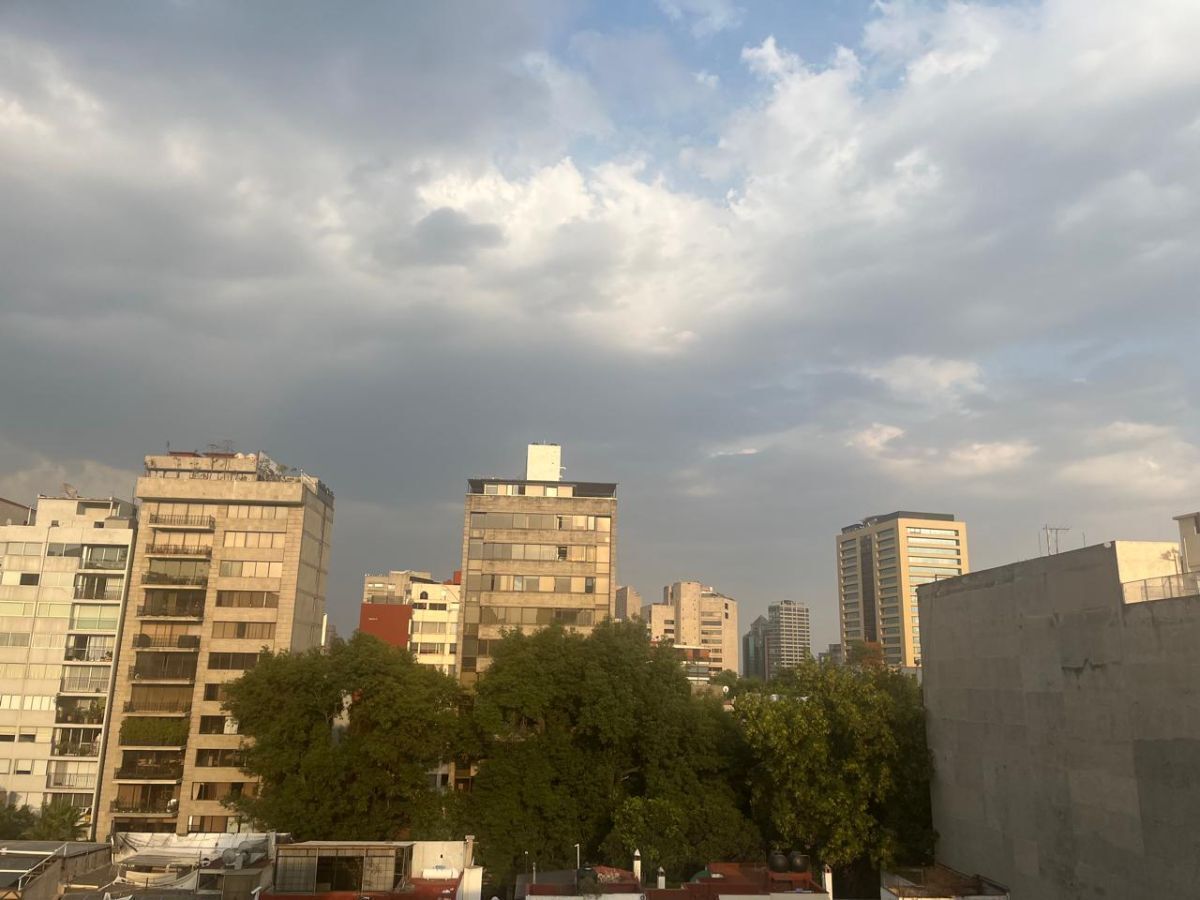 3 de 20