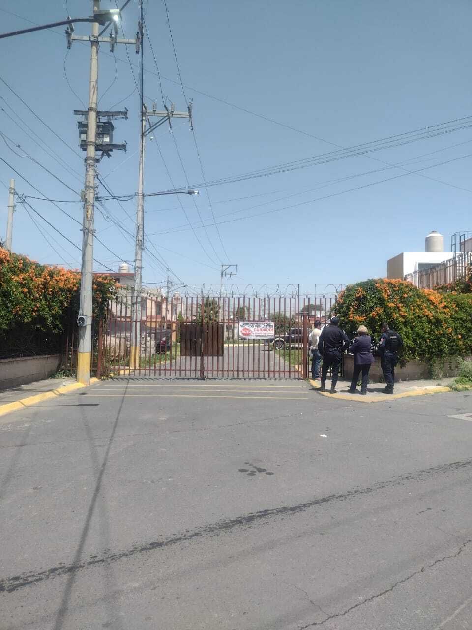 2 de 12