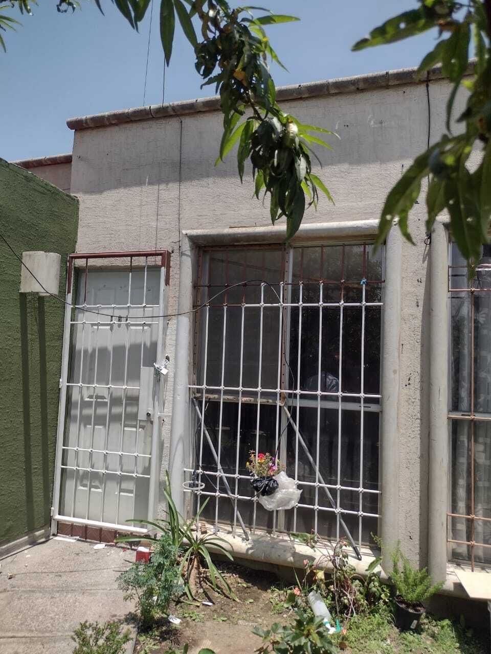 3 de 12