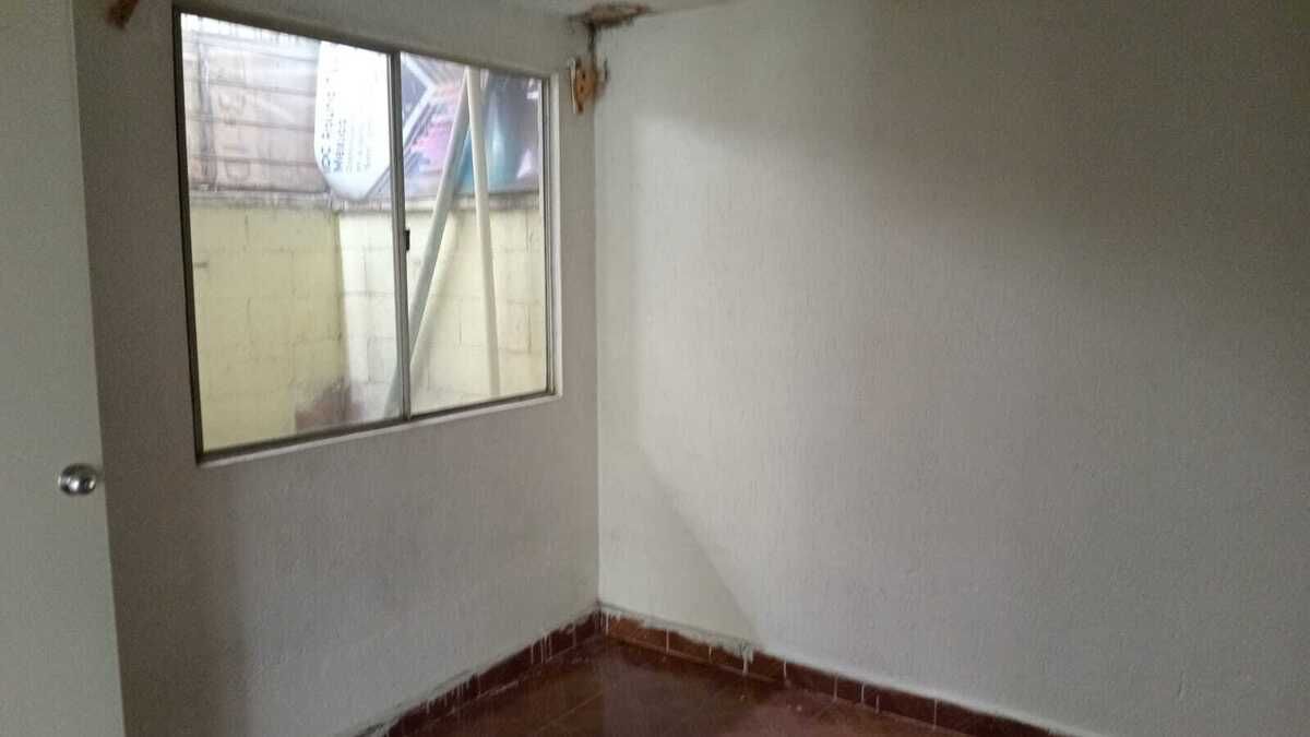 6 de 12