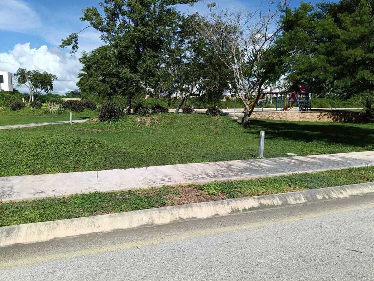 14 de 15