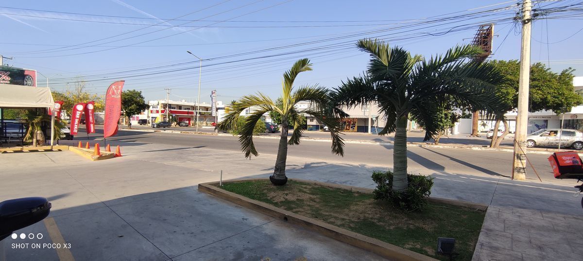 2 de 3